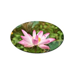 A Pink Lotus Sticker 10 Pack (oval) by natureinmalaysia