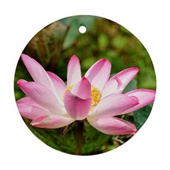 A Pink Lotus Round Ornament (two Sides) by natureinmalaysia