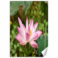 A Pink Lotus Canvas 12  X 18  (unframed) by natureinmalaysia