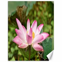 A Pink Lotus Canvas 18  X 24  (unframed)
