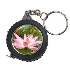 A Pink Lotus Measuring Tape by natureinmalaysia