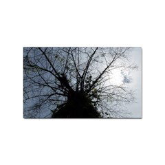 An Old Tree Sticker (rectangle) by natureinmalaysia