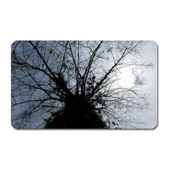 An Old Tree Magnet (rectangular) by natureinmalaysia