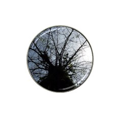 An Old Tree Golf Ball Marker 4 Pack (for Hat Clip) by natureinmalaysia