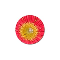 A Red Flower Golf Ball Marker 4 Pack by natureinmalaysia