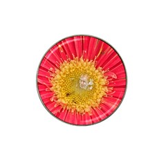 A Red Flower Golf Ball Marker 10 Pack (for Hat Clip) by natureinmalaysia