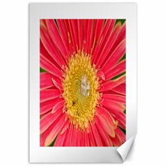 A Red Flower Canvas 24  X 36  (unframed) by natureinmalaysia