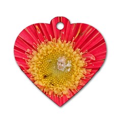 A Red Flower Dog Tag Heart (two Sided) by natureinmalaysia