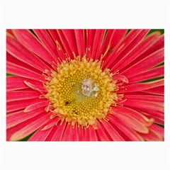 A Red Flower Glasses Cloth (large, Two Sided)