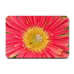 A Red Flower Small Door Mat by natureinmalaysia