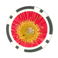 A Red Flower Poker Chip by natureinmalaysia