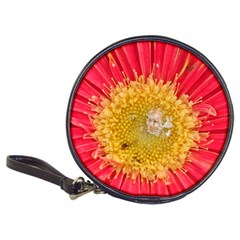 A Red Flower Cd Wallet