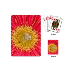 A Red Flower Playing Cards (mini)