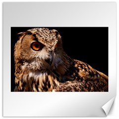 Owl Canvas 16  X 16  (unframed) by MLWartstore