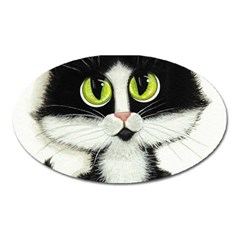 Tuxedo Cat by BiHrLe Magnet (Oval)