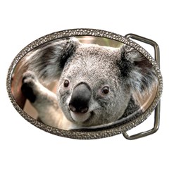 Koala Belt Buckle (oval)