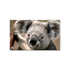 Koala Sticker 10 Pack (rectangle) by vipahi