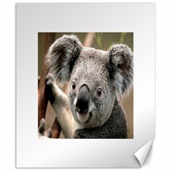 Koala Canvas 8  X 10  (unframed)