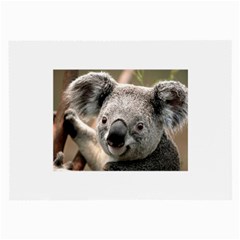 Koala Glasses Cloth (large, Two Sided)