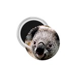 Koala 1.75  Button Magnet Front