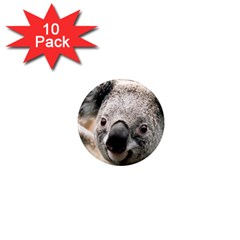 Koala 1  Mini Button Magnet (10 Pack)