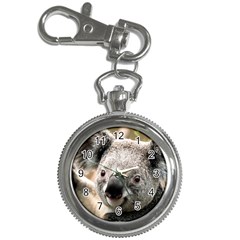 Koala Key Chain & Watch