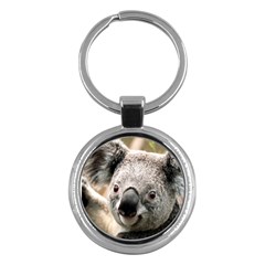 Koala Key Chain (round) by vipahi