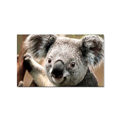 Koala Sticker 10 Pack (rectangle)