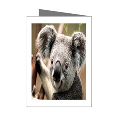 Koala Mini Greeting Card (8 Pack)