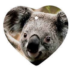 Koala Heart Ornament (two Sides) by vipahi