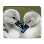 Baby Birds Large Mouse Pad (Rectangle) Front