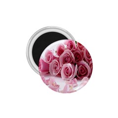 Pink Roses 1 75  Button Magnet