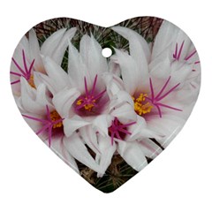 Bloom Cactus  Heart Ornament by ADIStyle