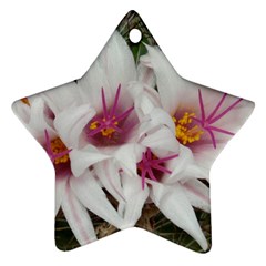 Bloom Cactus  Star Ornament