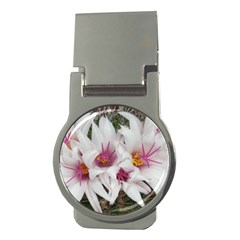 Bloom Cactus  Money Clip (round) by ADIStyle