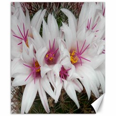 Bloom Cactus  Canvas 8  X 10  (unframed)