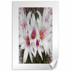 Bloom Cactus  Canvas 20  X 30  (unframed) by ADIStyle