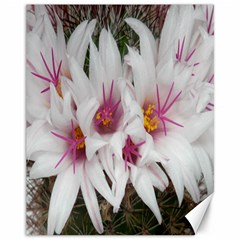 Bloom Cactus  Canvas 11  X 14  (unframed)