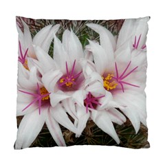 Bloom Cactus  Cushion Case (one Side)