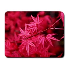 Red Autumn Small Mouse Pad (rectangle) by ADIStyle