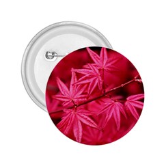 Red Autumn 2 25  Button