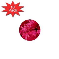 Red Autumn 1  Mini Button (10 Pack)