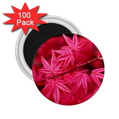 Red Autumn 2 25  Button Magnet (100 Pack) by ADIStyle