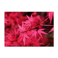 Red Autumn A4 Sticker 10 Pack