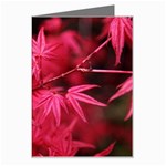 Red Autumn Greeting Card Left