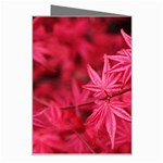 Red Autumn Greeting Card Right
