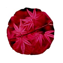 Red Autumn 15  Premium Round Cushion  by ADIStyle