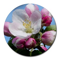 Apple Blossom  8  Mouse Pad (round)