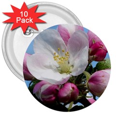 Apple Blossom  3  Button (10 Pack) by ADIStyle