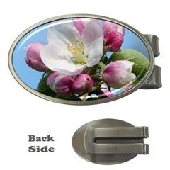 Apple Blossom  Money Clip (oval) by ADIStyle